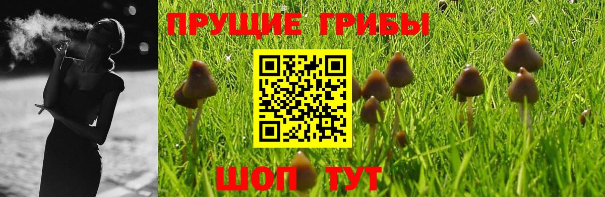 Галлюциногенные грибы GOLDEN TEACHER Крымск